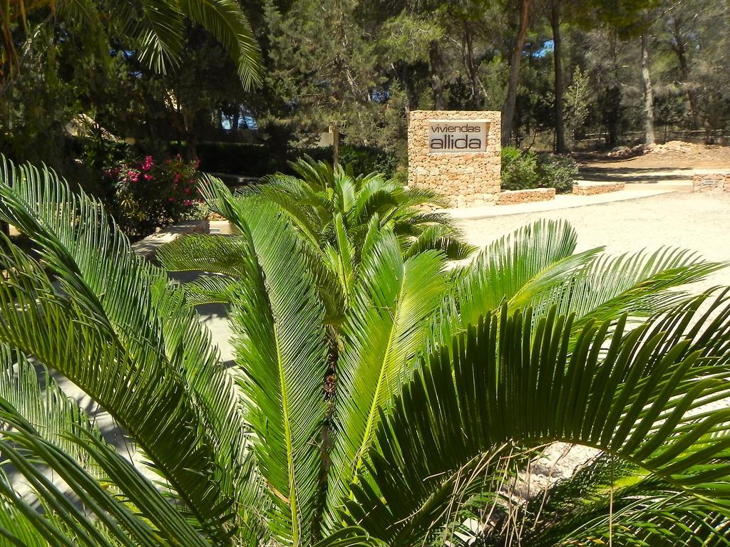 Aparthotel Viviendas Turisticas Vacacionales Allida